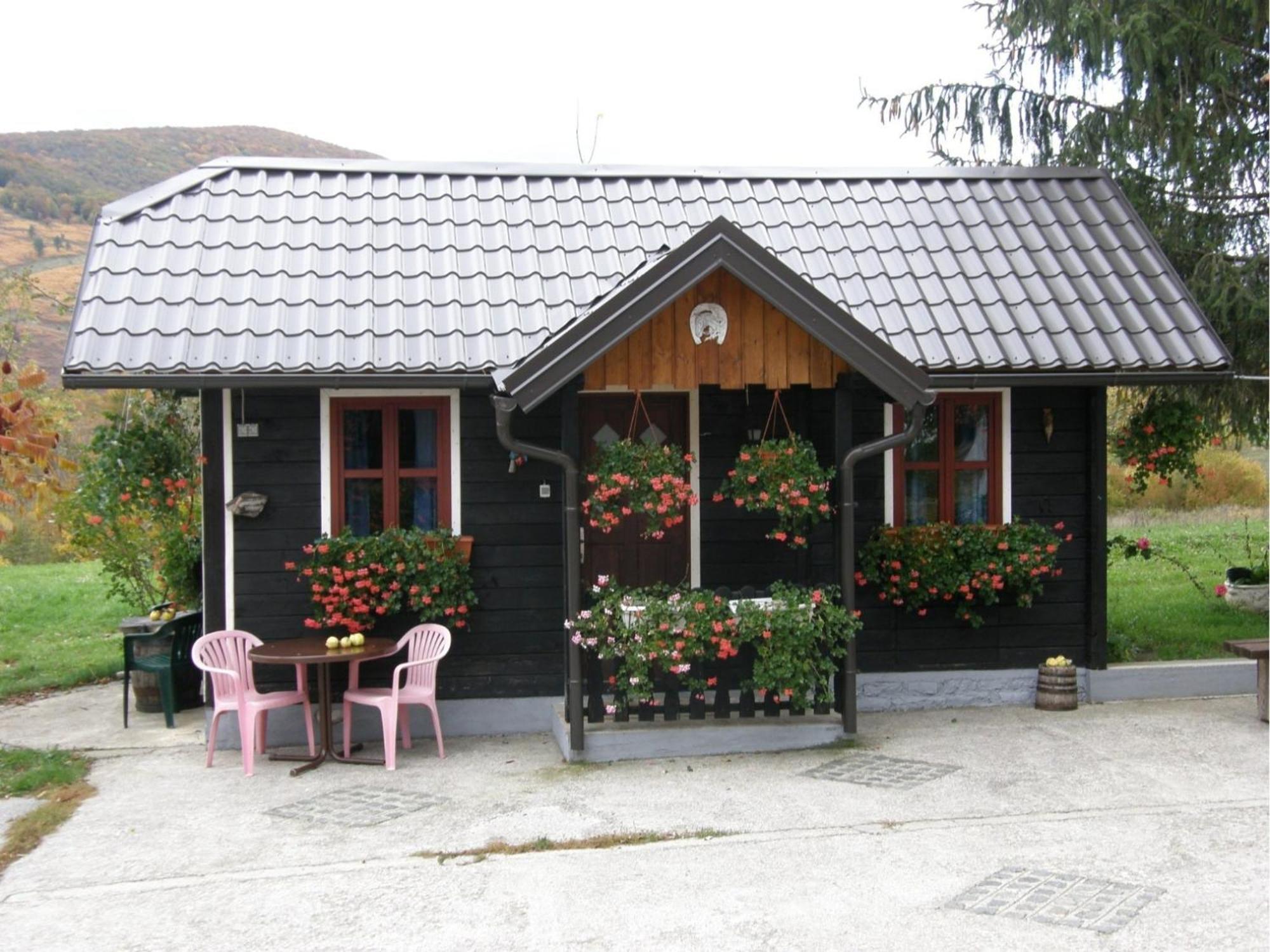 House Ilija Hodak Seliste Dreznicko Cameră foto